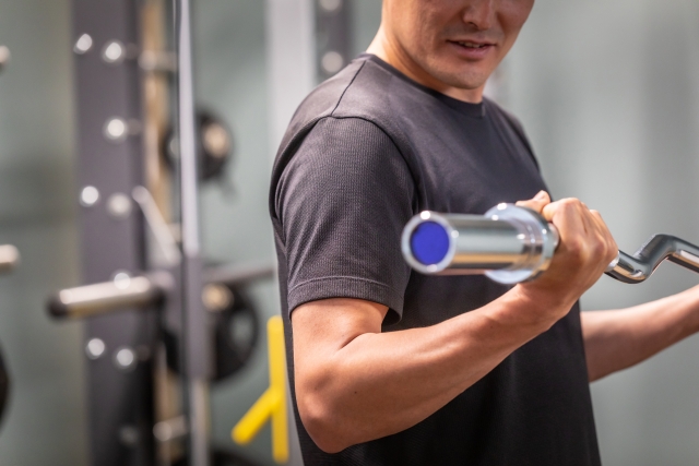 バスケ ウエイトトレーニング 筋トレ の種類と効果 バスケットボールターミナル バスタミ